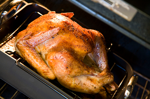 turkey